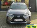 Lexus UX 250h Business Line | Camera, Trekhaak Gris - thumbnail 2