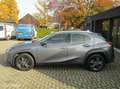 Lexus UX 250h Business Line | Camera, Trekhaak Gris - thumbnail 5