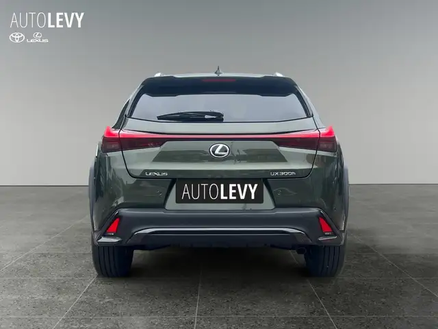 Lexus Ux view 5