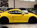 Porsche Cayman 981 GT4 / JAUNE RACING / 45000 KM Giallo - thumbnail 6