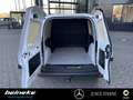 Mercedes-Benz Citan Citan 110 CDI Kasten PRO AHK+Navi+MBUX+Sitzh+KAM Weiß - thumbnail 16
