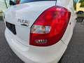 Skoda Fabia Cool Edition 1,4TDI ** ÜBERPRÜFUNG NEU ** Weiß - thumbnail 13