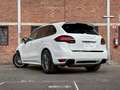 Porsche Cayenne GTS 4.8 V8 Wit - thumbnail 20