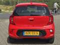 Kia Picanto 1.0 DPi DynamicLine NAVI | KLIMA | CAMERA | CARPLA Rouge - thumbnail 7