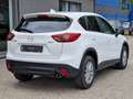 Mazda CX-5 CX-5 2.2L Skyactiv-D 150CV 2WD Evolve Bianco - thumbnail 6
