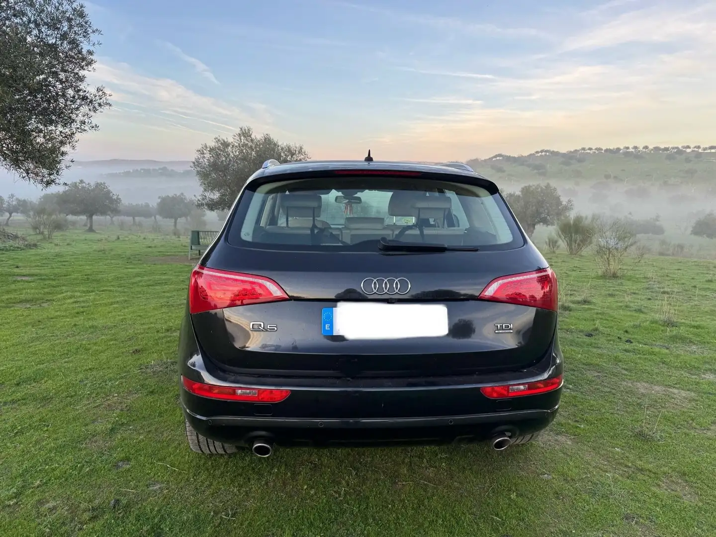 Audi Q5 - 2