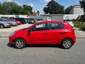 Hyundai i20 1,25 Life 77PS Rot - thumbnail 2