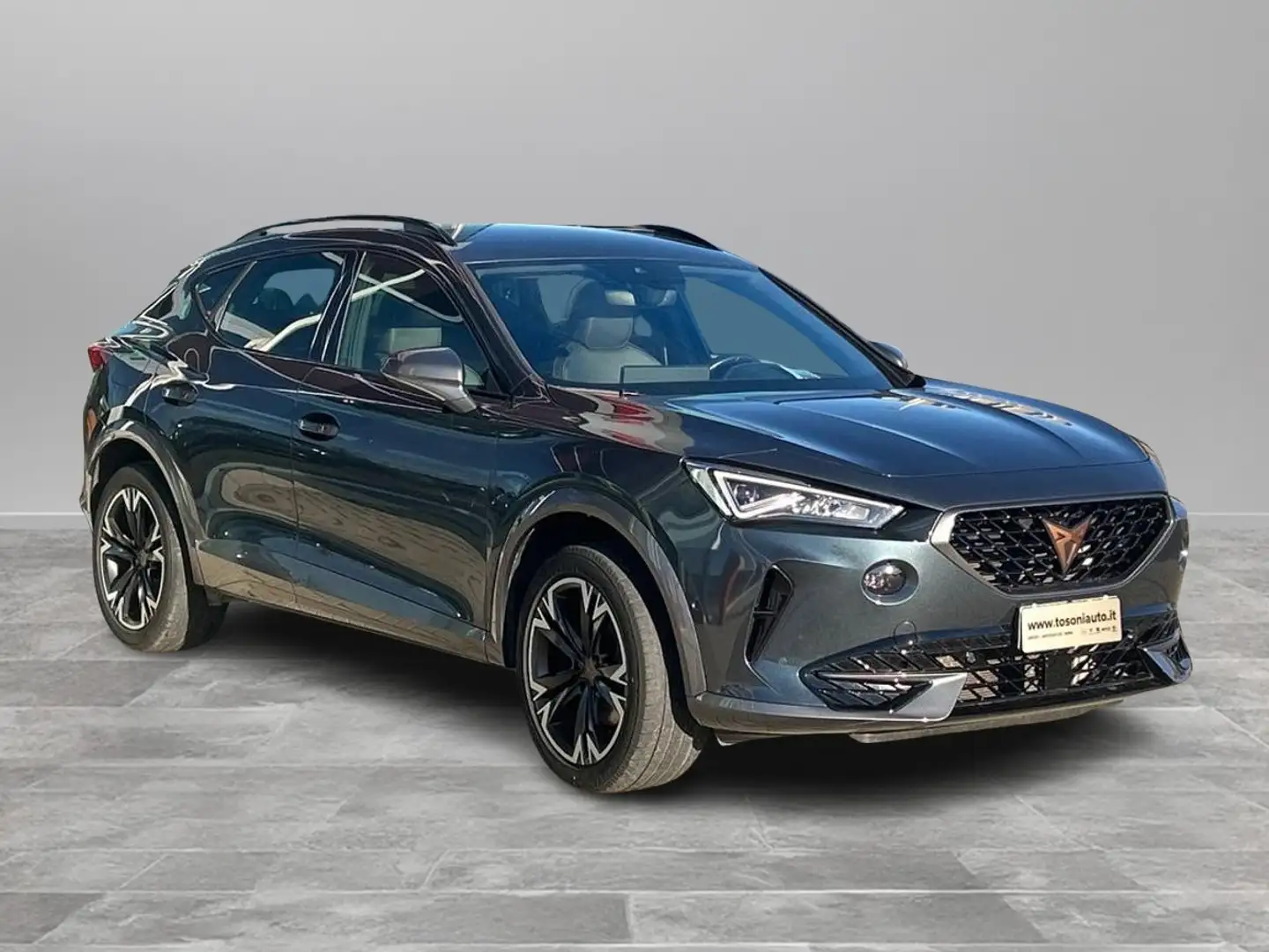 CUPRA Formentor 2.0 tdi Grigio - 2