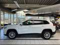 Jeep Cherokee Longitude FWD*Kamera*AUTOMATIK* Weiß - thumbnail 10