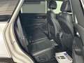 Kia Sorento Sorento 2,2 CRDi AWD Platin Aut. Platin // PANORAMADACHH // Weiß - thumbnail 20