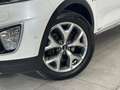 Kia Sorento Sorento 2,2 CRDi AWD Platin Aut. Platin // PANORAMADACHH // Weiß - thumbnail 11