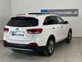 Kia Sorento Sorento 2,2 CRDi AWD Platin Aut. Platin // PANORAMADACHH // Weiß - thumbnail 9