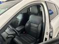 Kia Sorento Sorento 2,2 CRDi AWD Platin Aut. Platin // PANORAMADACHH // Weiß - thumbnail 21