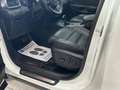 Kia Sorento Sorento 2,2 CRDi AWD Platin Aut. Platin // PANORAMADACHH // Weiß - thumbnail 5