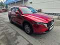 Mazda CX-5 CD150 Ambition Rot - thumbnail 5