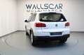 Volkswagen Tiguan Cross 2.0 TDI 110cv Bluemotion Tech 4x2 Blanco - thumbnail 42