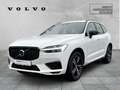 Volvo XC60 T8 R-Design Recharge Plug-In Hybrid AWD StandHZG A Blanc - thumbnail 1