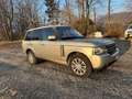 Land Rover Range Rover Range Rover 4,4 TDV8 Vogue DPF Vogue Beige - thumbnail 3