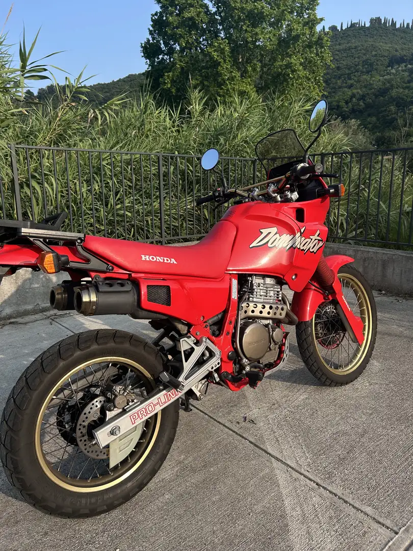 Honda NX 650 - 1