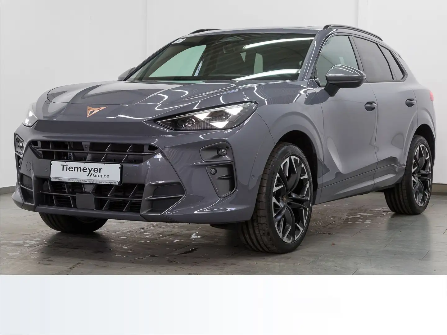 CUPRA Terramar 2.0 TSI DSG VZ PANO LM20 HD-MATRIX HuD Grau - 2