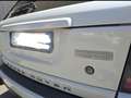 Land Rover Range Rover Sport Range Rover Sport 3.0 tdV6 Autobiography auto Bianco - thumbnail 7