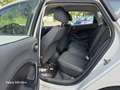 SEAT Ibiza Friend Weiß - thumbnail 10