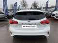 Ford Focus 1.0 Flexifuel mHEV 125ch Titanium X Business Powershift Blanc - thumbnail 6