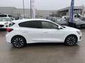 Ford Focus 1.0 Flexifuel mHEV 125ch Titanium X Business Powershift Blanc - thumbnail 4