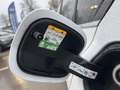 Ford Focus 1.0 Flexifuel mHEV 125ch Titanium X Business Powershift Blanc - thumbnail 14