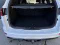 Ford Focus Wagon 1.0 Ecoboost 125pk H6 ST-Line Navigatie LMV Wit - thumbnail 36