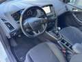 Ford Focus Wagon 1.0 Ecoboost 125pk H6 ST-Line Navigatie LMV Wit - thumbnail 8