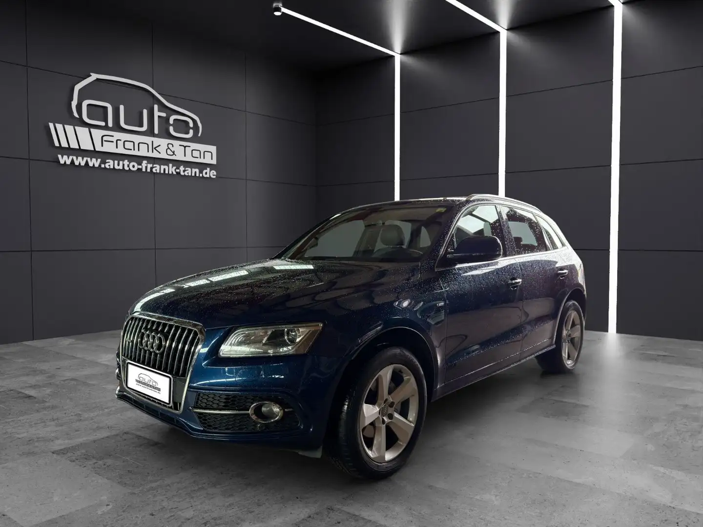 Audi Q5 2.0 TFSI quattro Xenon*ACC*Navi*S-Line Blau - 1