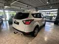Ford Kuga Trend 1.HAND*WINTERPAKET*DESIGN-PAKET Wit - thumbnail 4