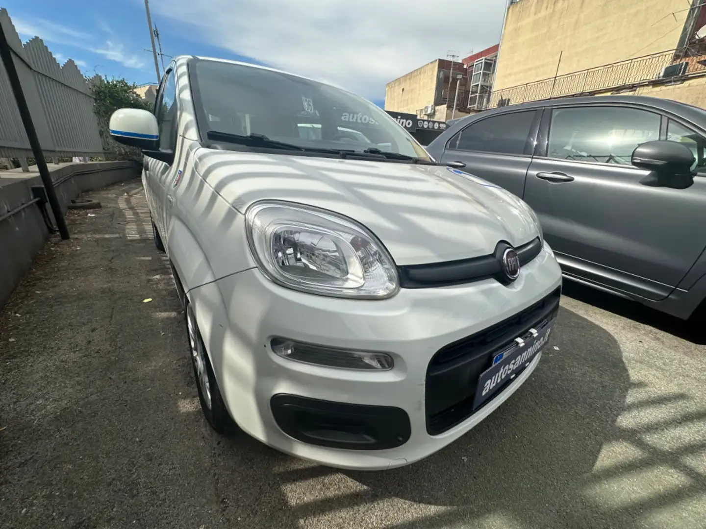 Fiat Panda Panda 1.2 Pandazzurri Bianco - 1