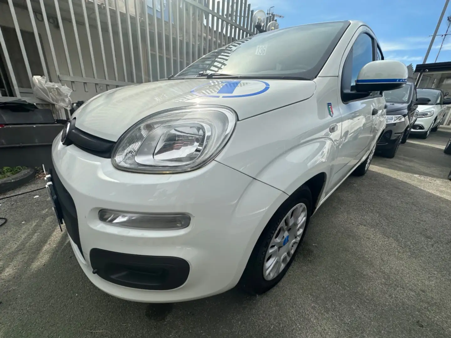 Fiat Panda Panda 1.2 Pandazzurri Bianco - 2