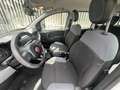 Fiat Panda Panda 1.2 Pandazzurri Bianco - thumbnail 5
