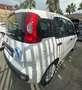 Fiat Panda Panda 1.2 Pandazzurri Bianco - thumbnail 4