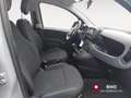 Fiat Panda 1.0 FireFly S&S Hybrid Grau - thumbnail 14