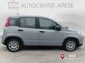 Fiat Panda 1.0 FireFly S&S Hybrid Grau - thumbnail 5