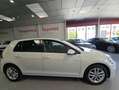 Volkswagen Golf 1.0 TSI Advance 85kW Blanco - thumbnail 5