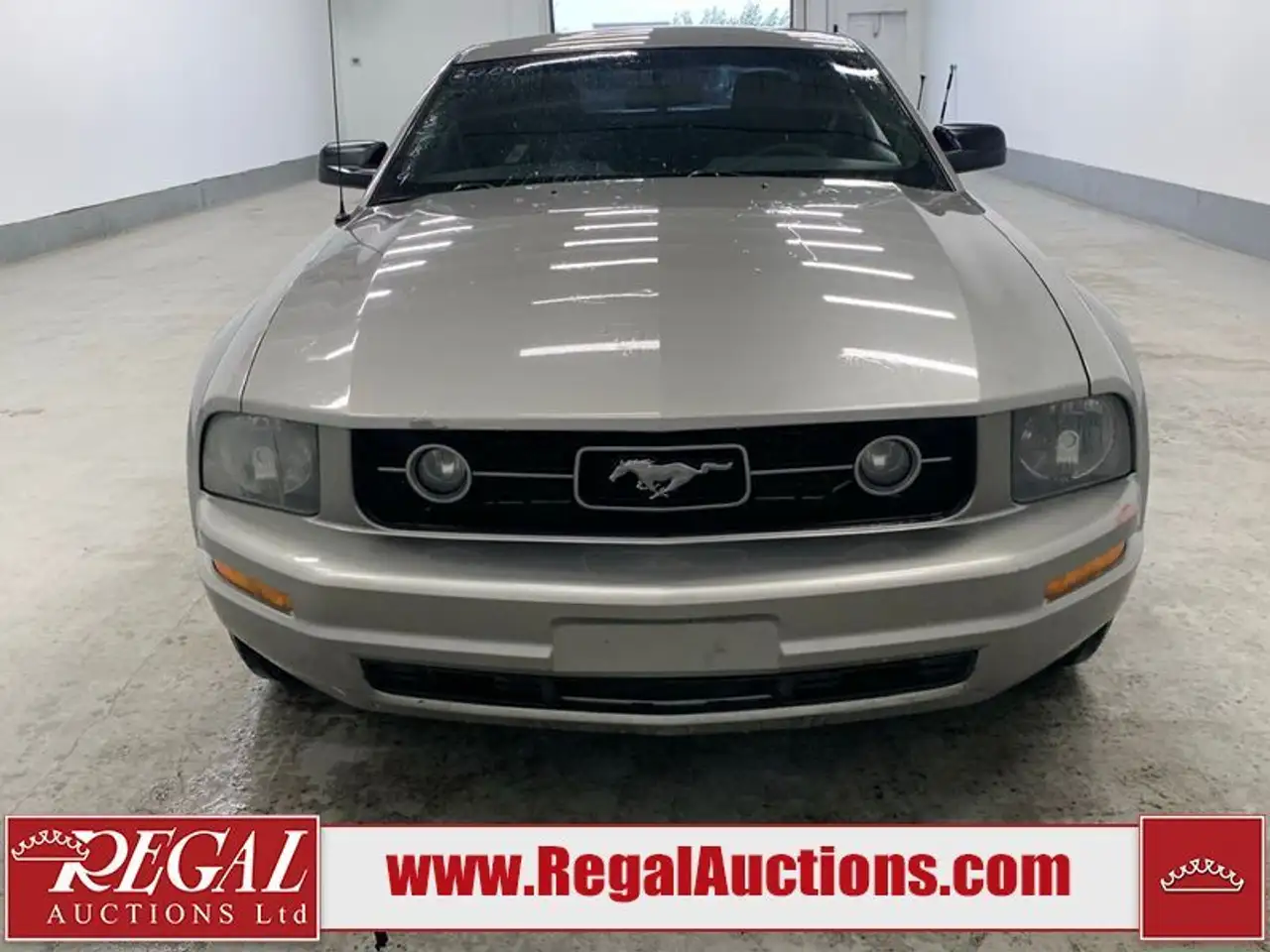 Ford Mustang fotografie Ford Mustang