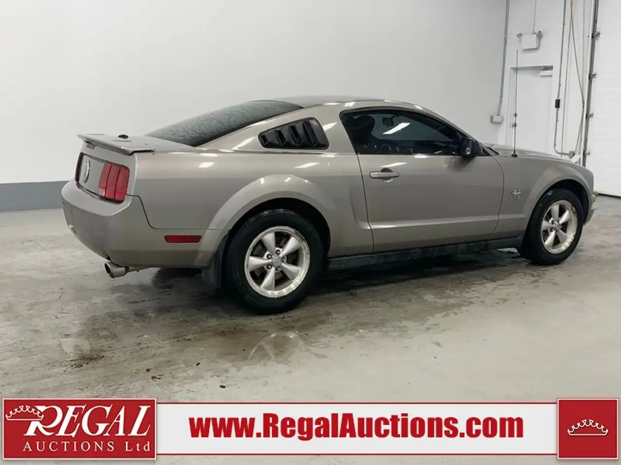 Ford Mustang fotografie Ford Mustang