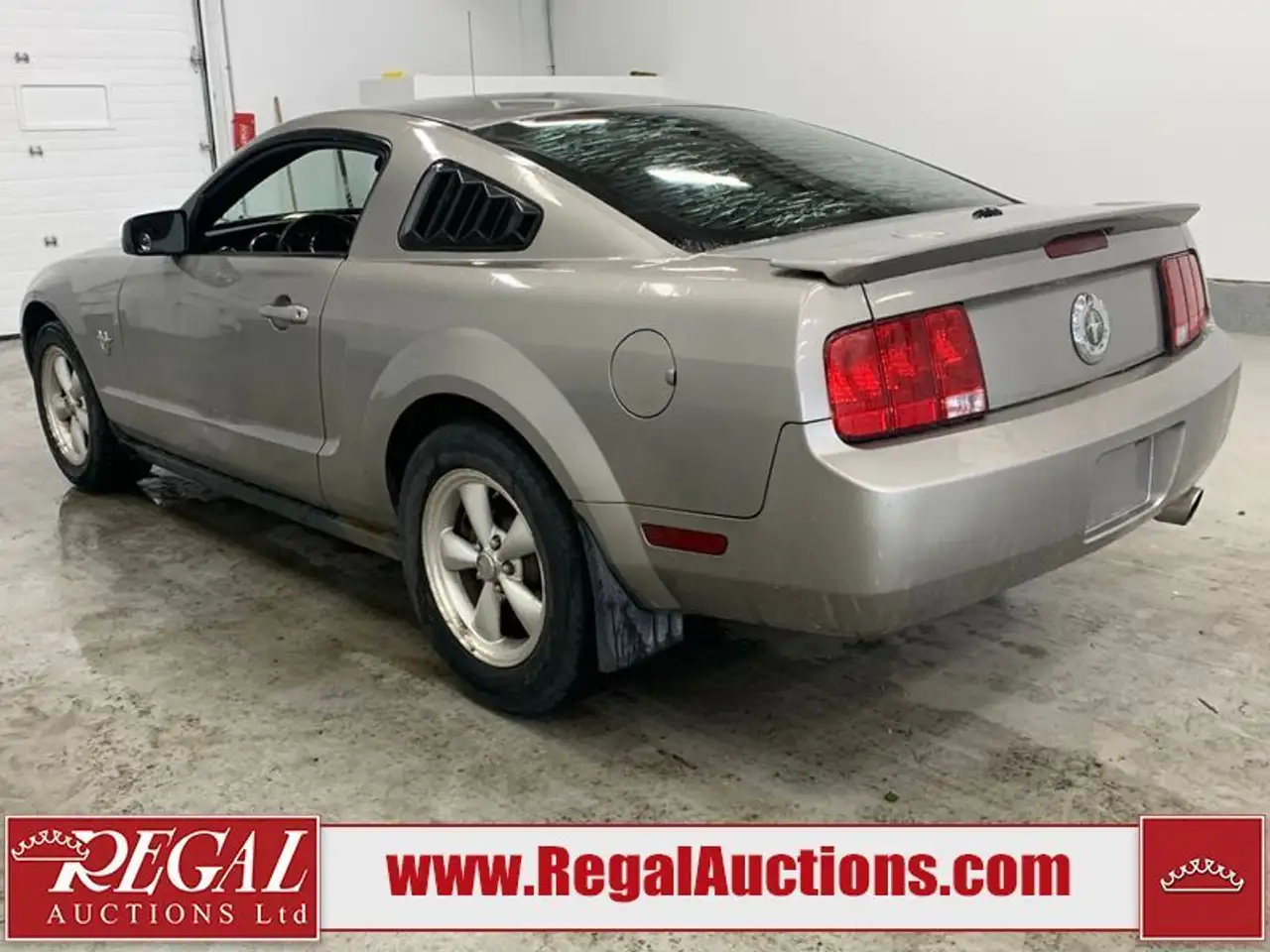 Ford Mustang fotografie Ford Mustang