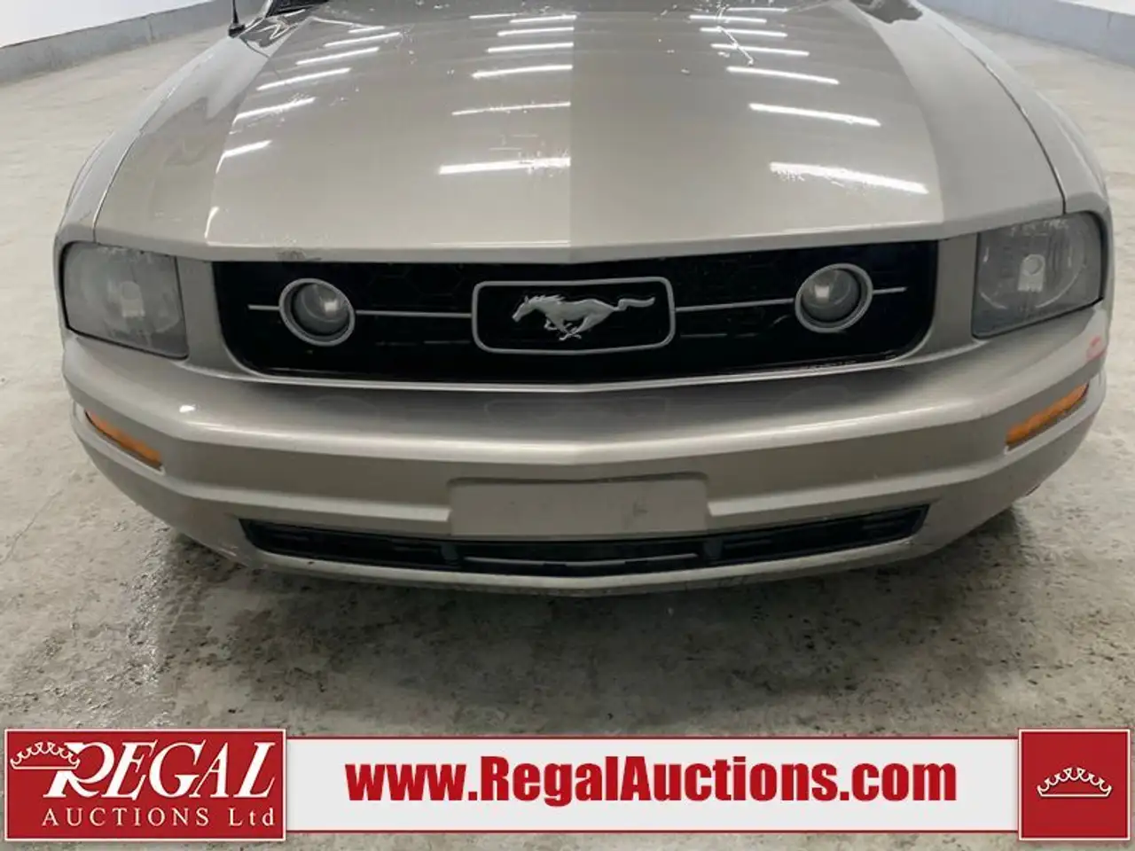 Ford Mustang fotografie Ford Mustang
