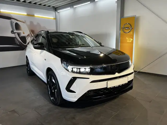 Opel Grandland X Grandland GSe PHEV - 360 | Sitz-/Lenkradhzg