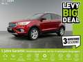 Ford Kuga 1.5 EcoBoost Trend PDC+Sitzhzg+Tempomat Rosso - thumbnail 1