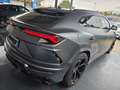Lamborghini Urus Urus 4.0 V8 4p ti auto Grau - thumbnail 9
