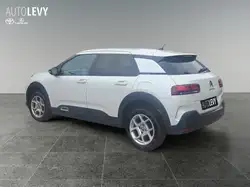 Find Citroen C4 Cactus puretech-shine for sale - AutoScout24