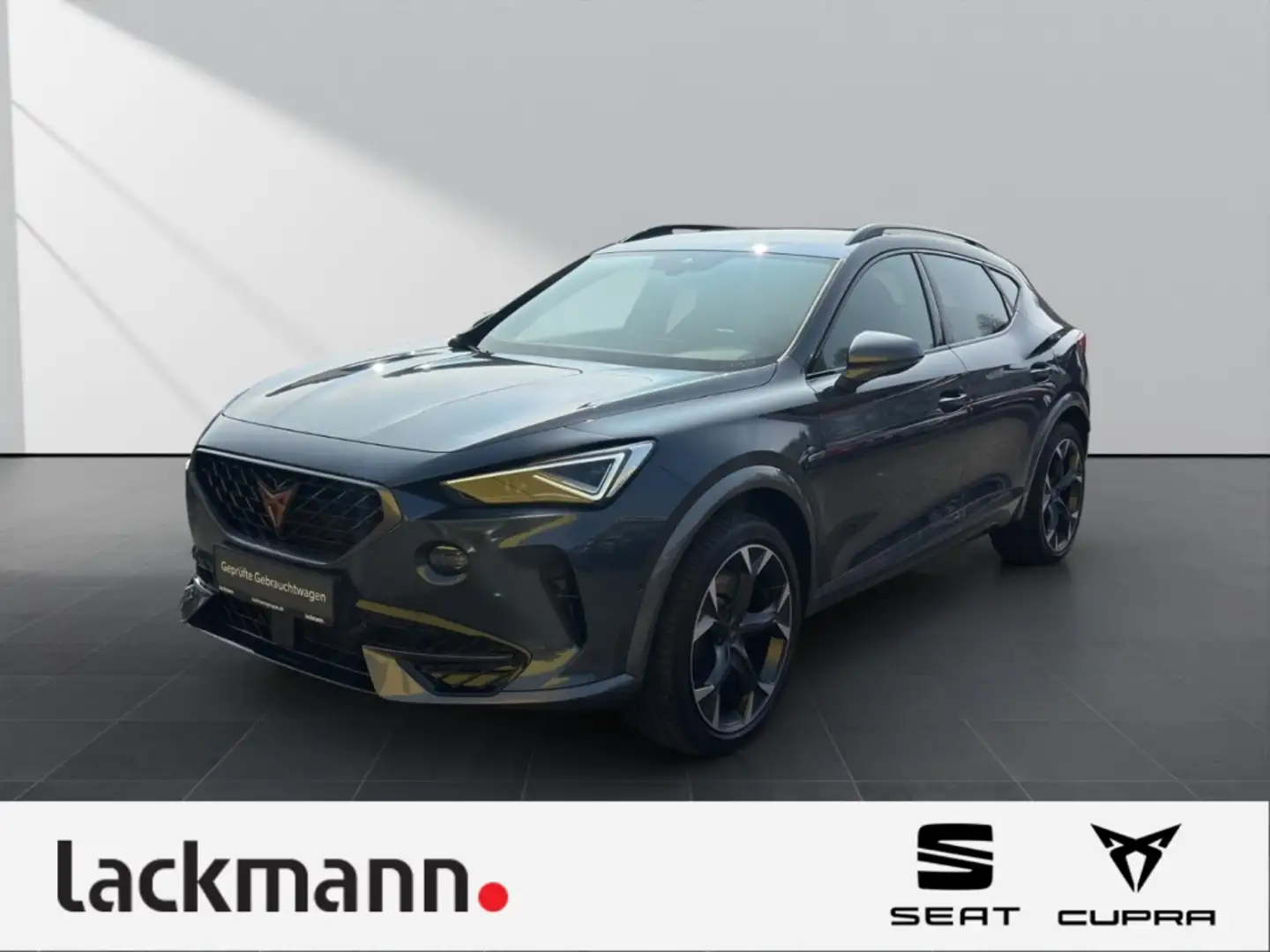 CUPRA Formentor 2.0 VZ 4Drive *Leder*Navi*Matrix*Beats* Grau - 1