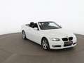 BMW 330 i Cabrio Aut XENON LEDER NAVI SITZHZG KLIMA Weiß - thumbnail 5